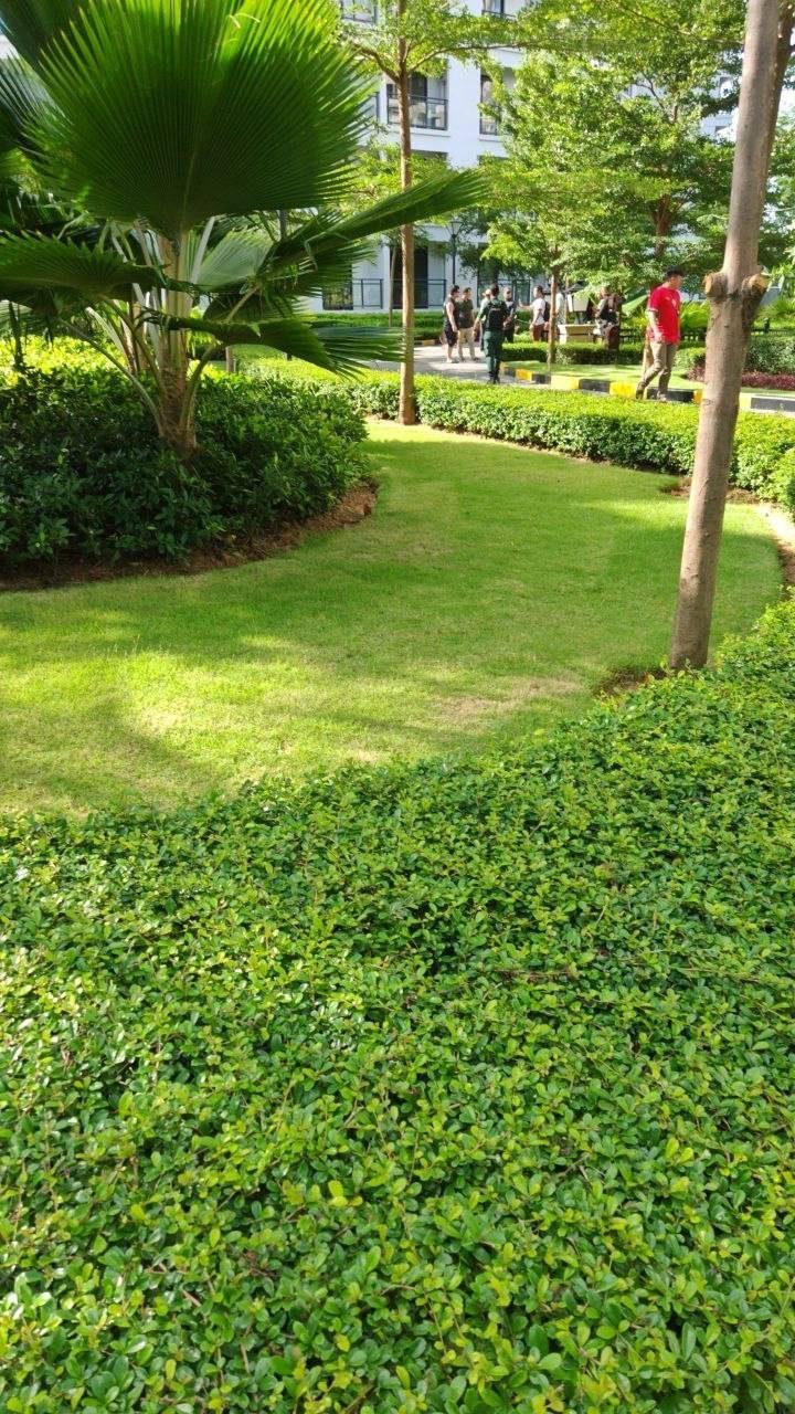 西港星汇公寓突击检查 宪兵抓捕多名无证人员