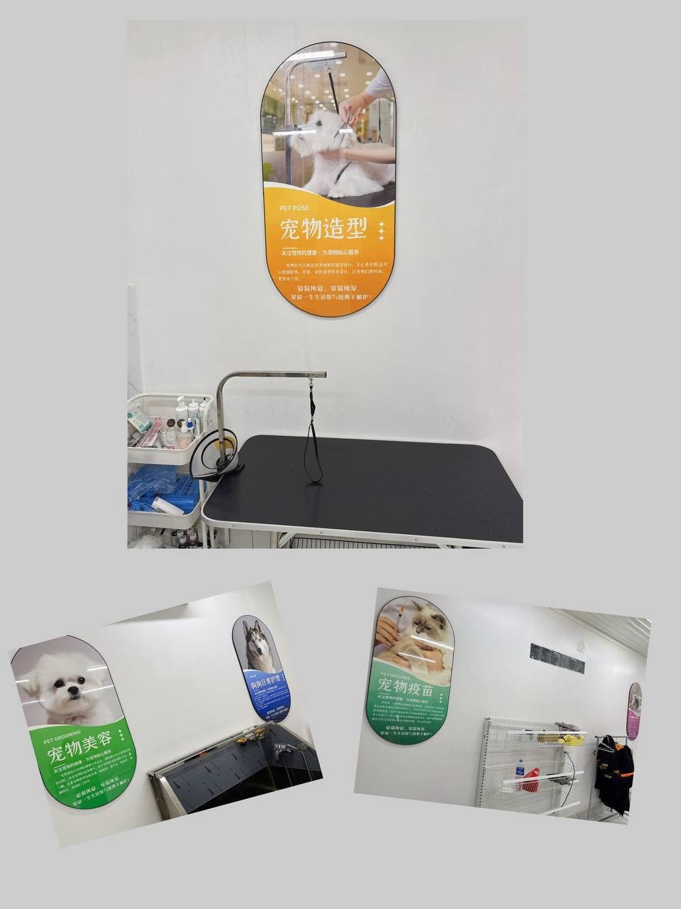 宠爱一生宠物店洗护福利 首次洗澡送猫粮罐头