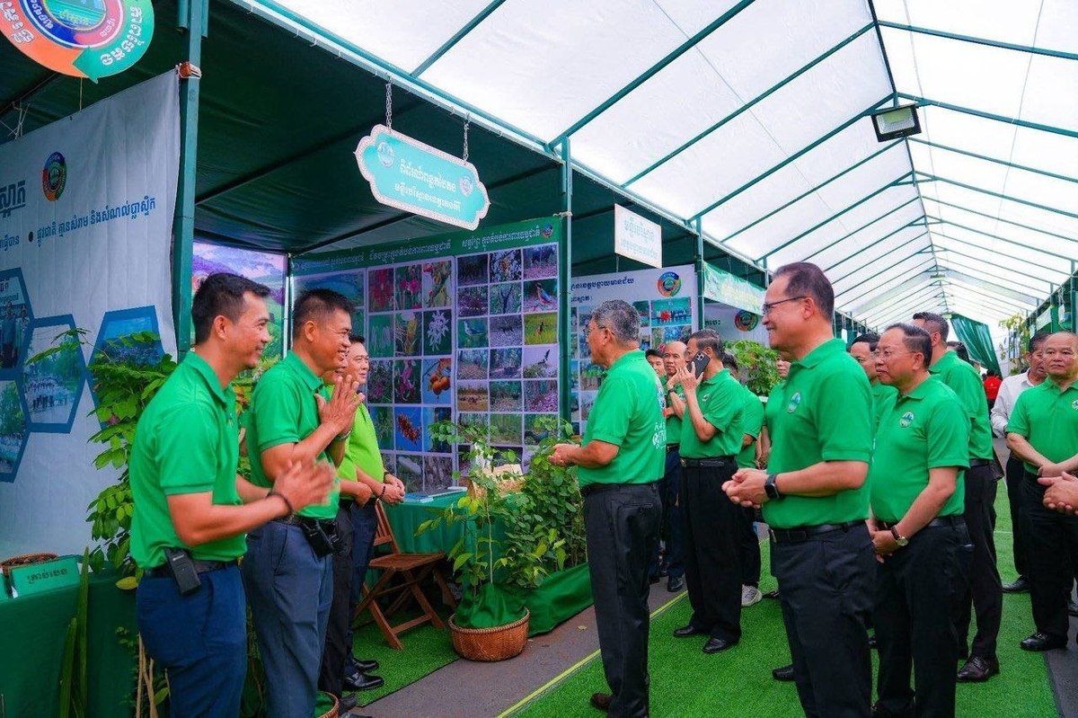 柬埔寨启动绿芽展及百万棕榈树种植计划 鼓励全民植树