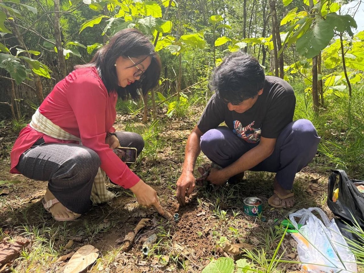 卫生部考察实居省基里隆药用植物园 推进科研标准化