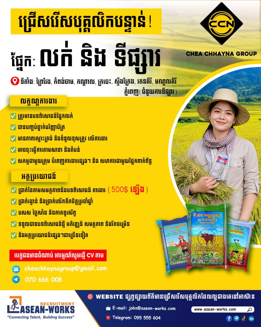 Chea Chhayna集团现急招销售与市场专员,工作地点覆