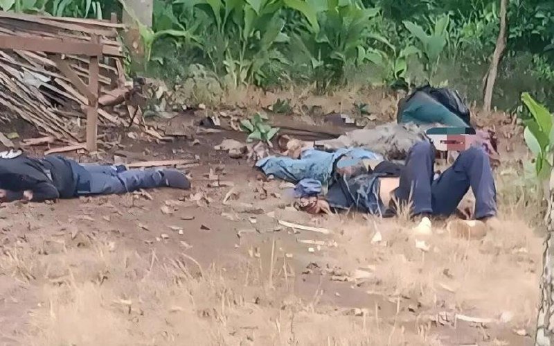 菩萨省发生手榴弹袭警事件 缉毒行动致5人身亡