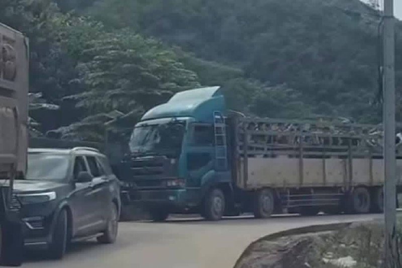 近2000人经泰边境转运 疑为诈骗集团躲避打击转移