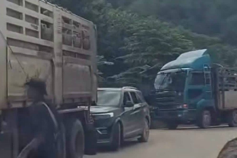 近2000人经泰边境转运 疑为诈骗集团躲避打击转移