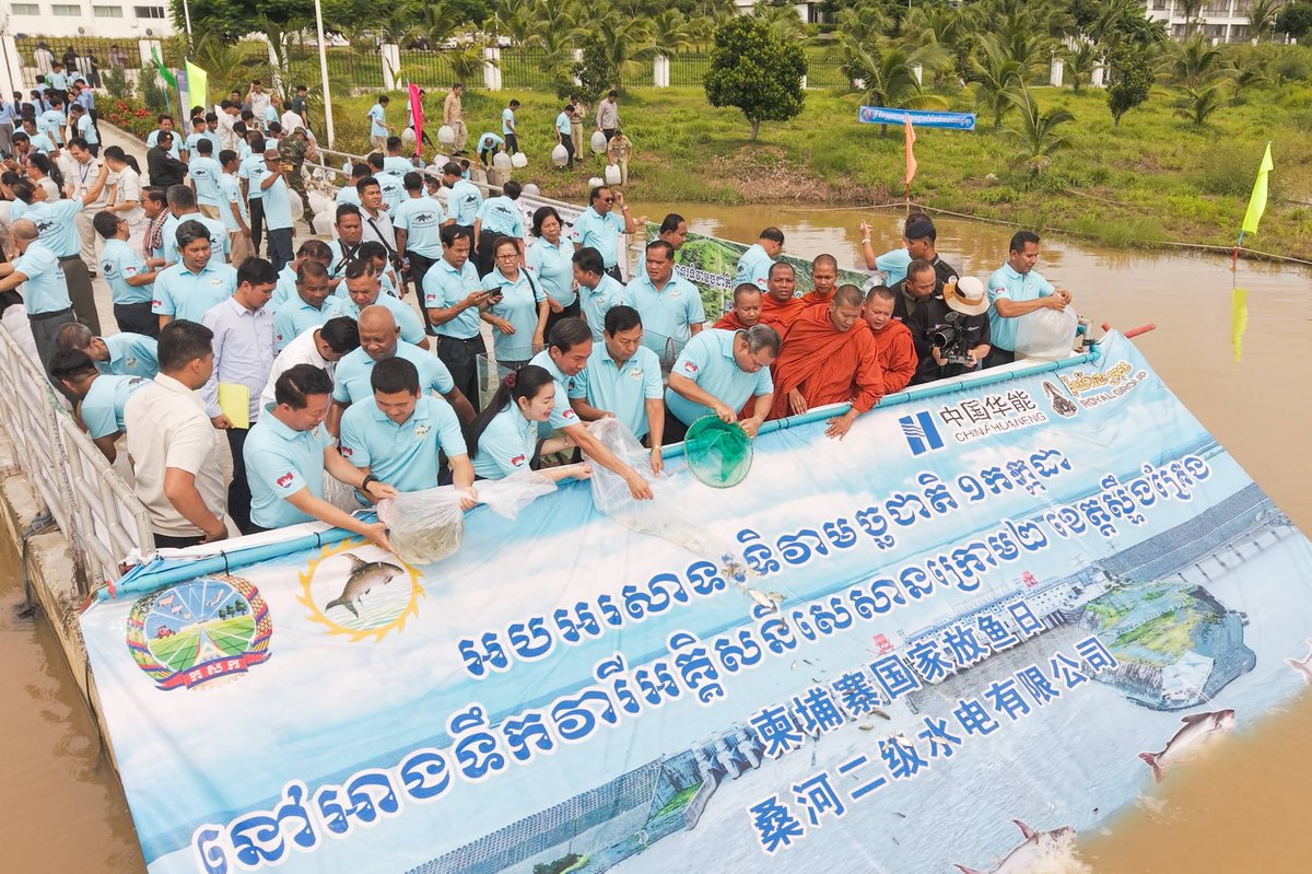中企在桑河二级水电站放流10万尾鱼苗 保护生态
