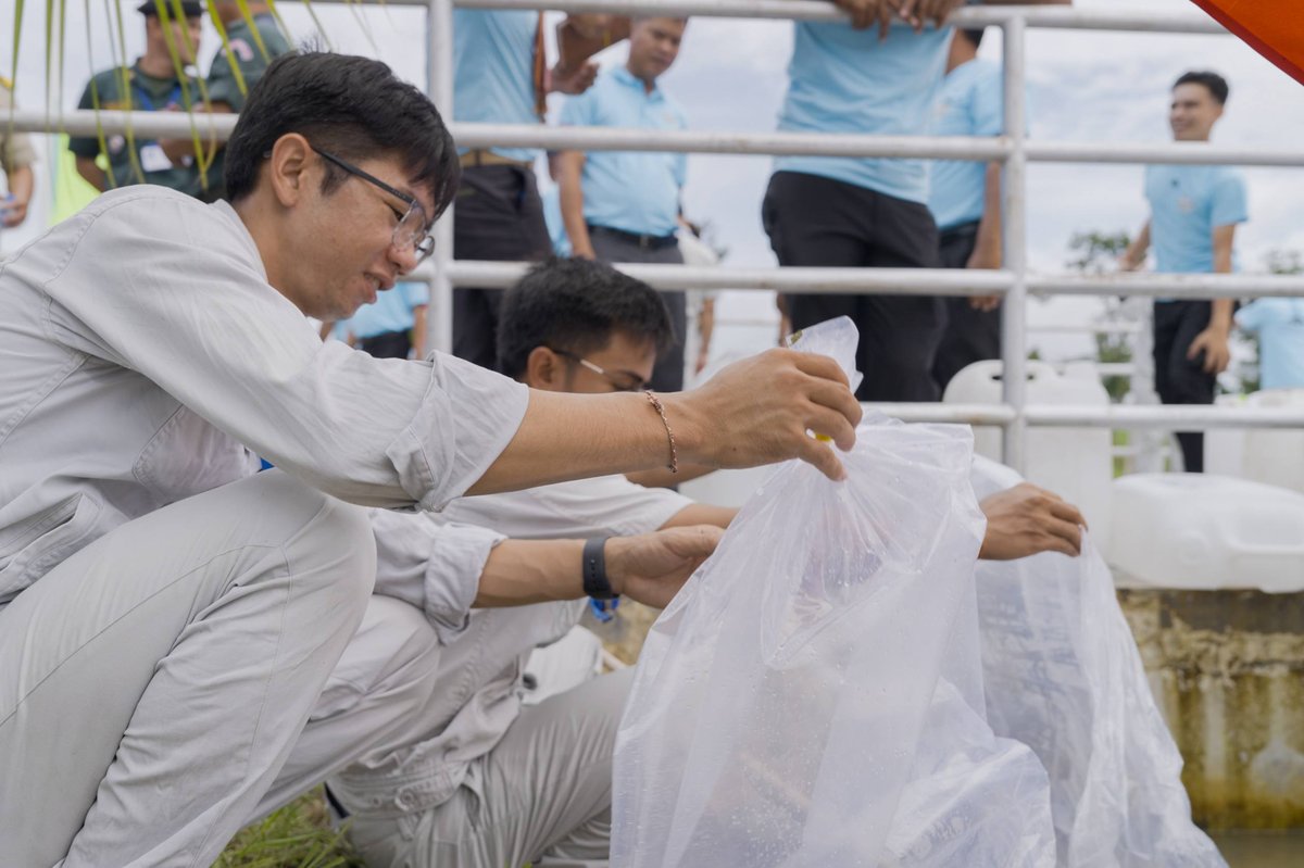 中企在桑河二级水电站放流10万尾鱼苗 保护生态