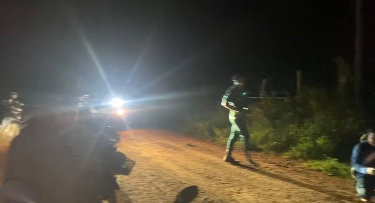 柏威夏省野生大象闯入民宅 摧毁房屋无人员伤亡