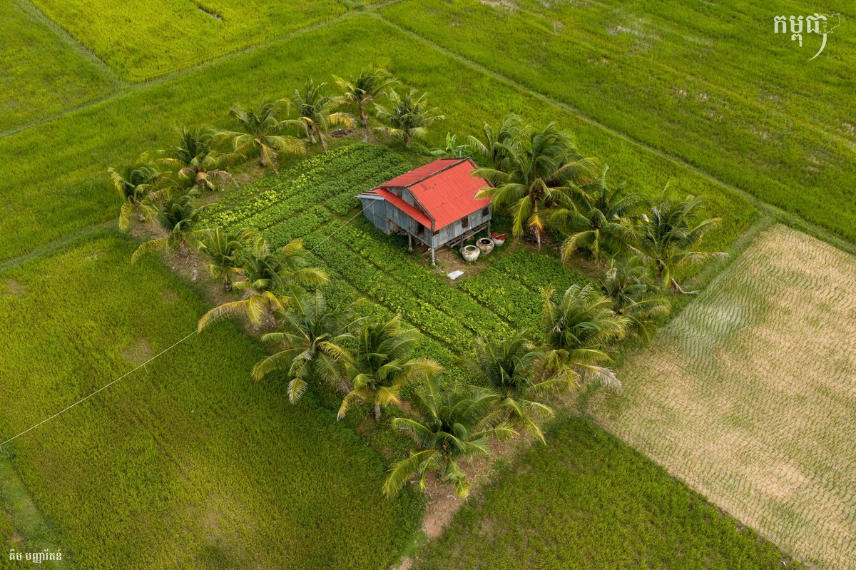 贡布省乡村居住环境展示
