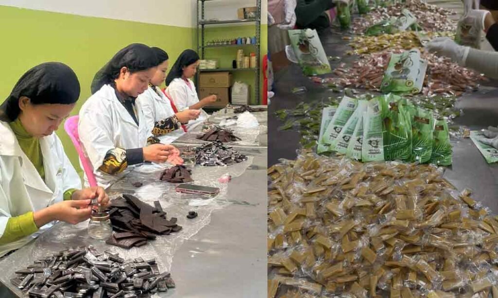 柬埔寨企业家呼吁支持国货 助力中小企业发展