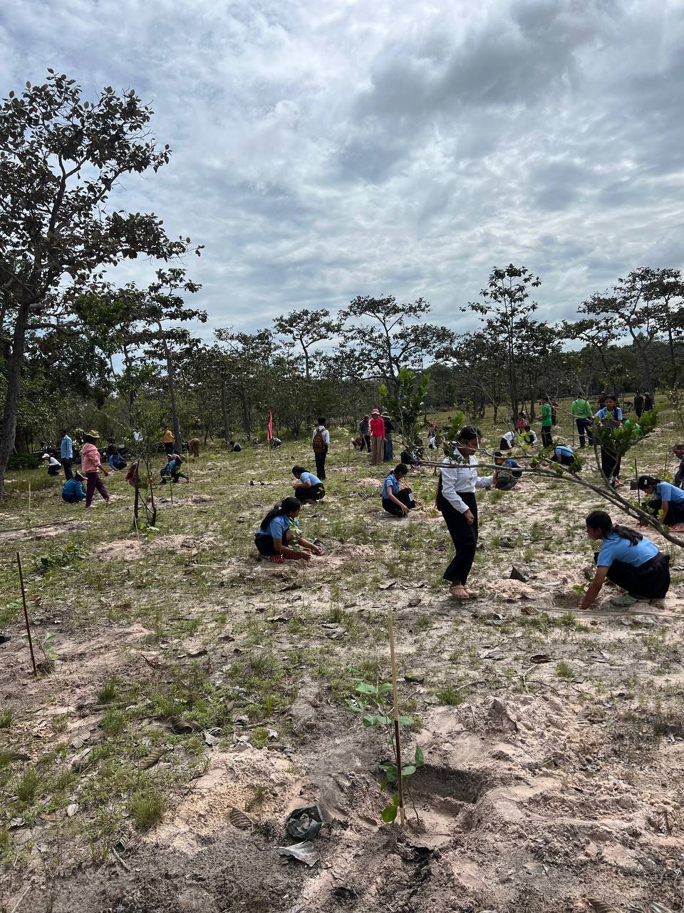 磅通省开展社区植树活动 提升生态环保意识