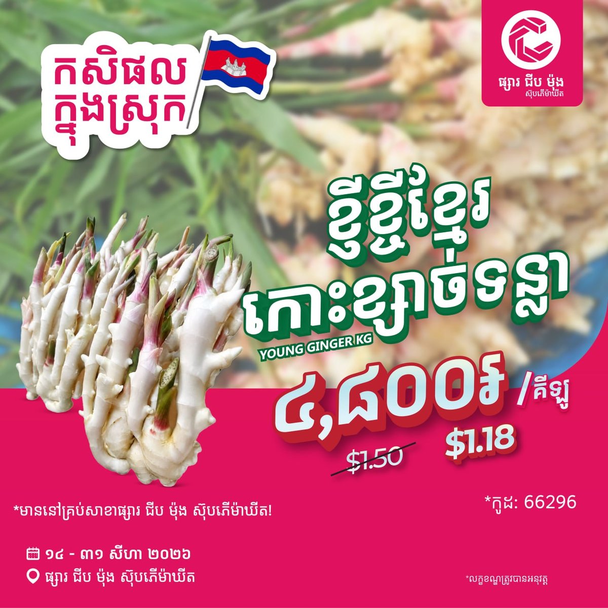 集茂超市新鲜生姜特惠 4800瑞尔/公斤 持续至8月底