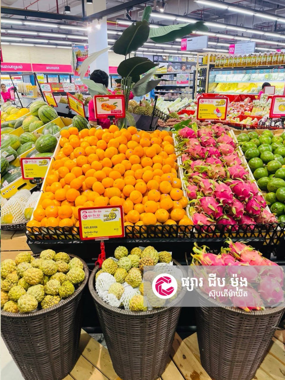 集茂超市598分店生鲜上新 每日新鲜供应