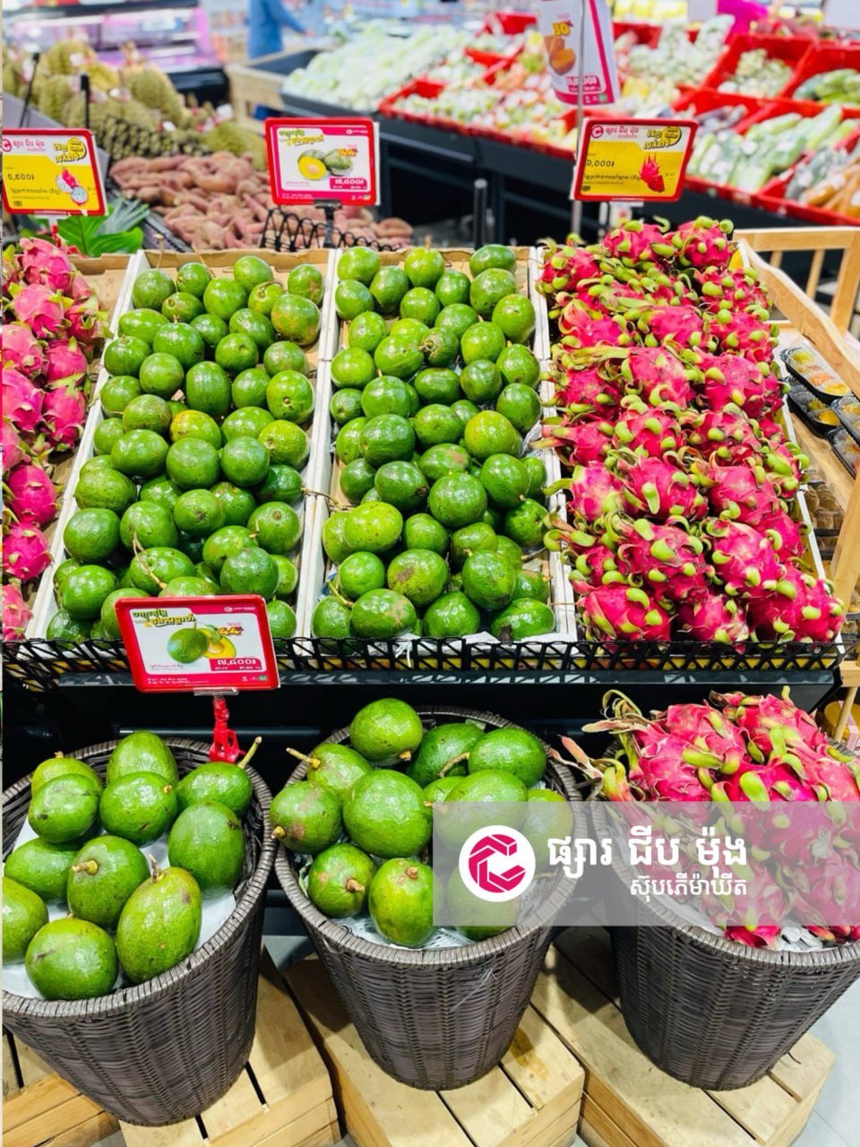 集茂超市598分店生鲜上新 每日新鲜供应