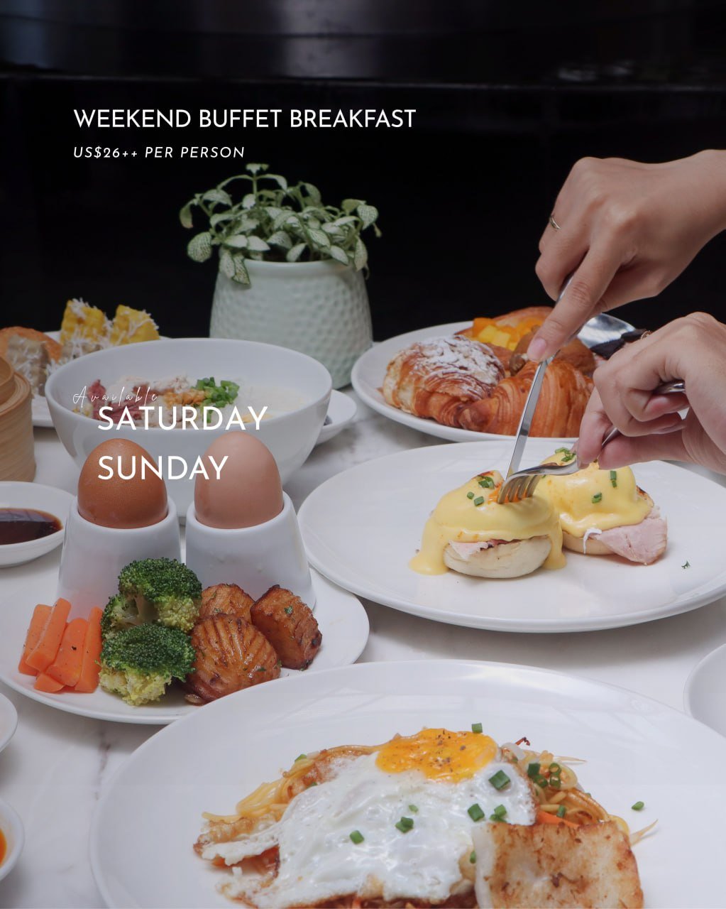 金边凯悦酒店Market Café周末海鲜自助餐开放预订