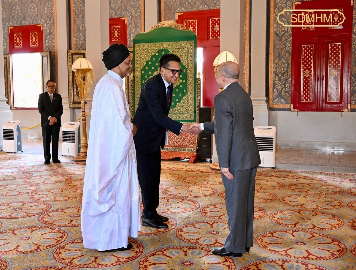 西哈莫尼国王接受毛里塔尼亚新任大使国书
