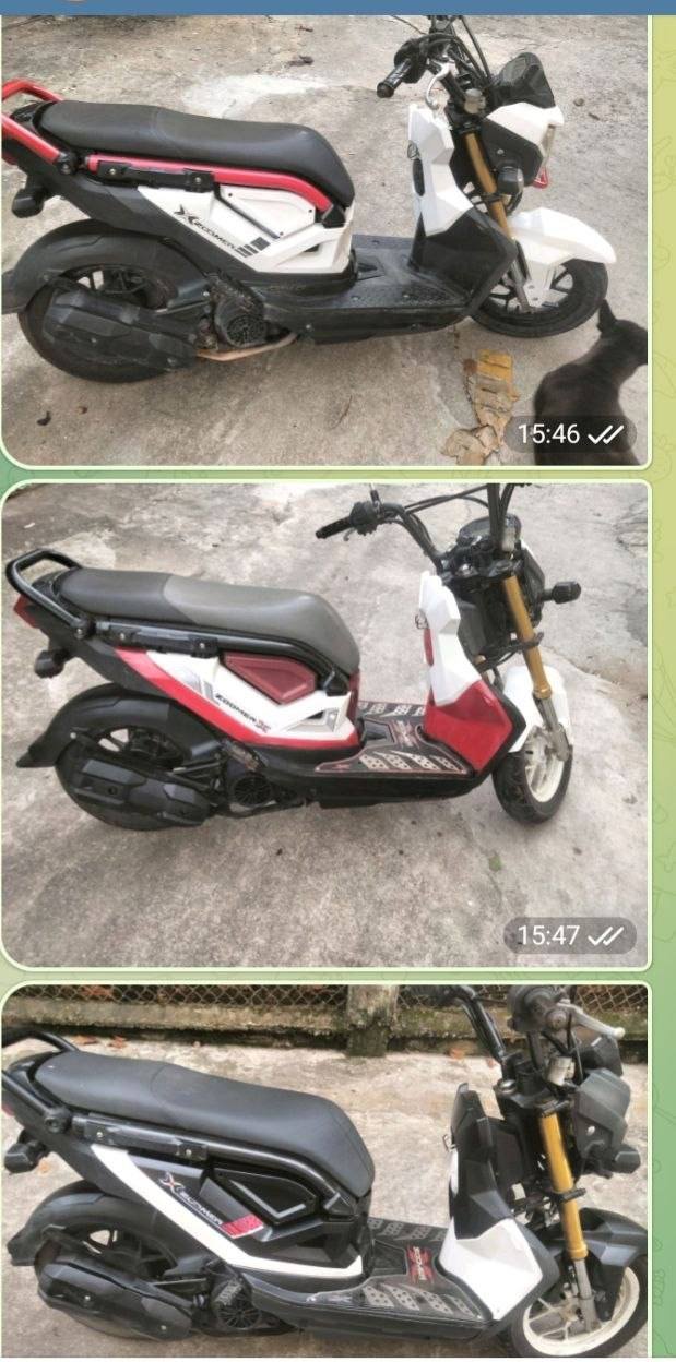西港本田祖玛摩托车急售 $380/辆 车况良好