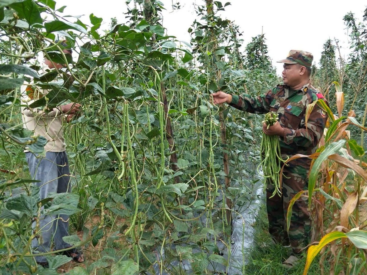 柬埔寨农业部向边境民众发放物资 累计援助52吨