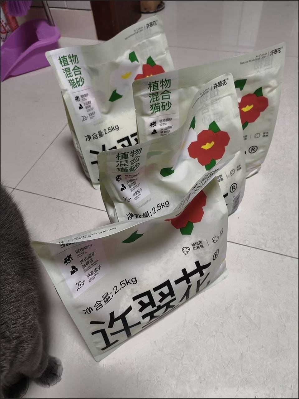 西港转让全套养猫用品 打包价$180