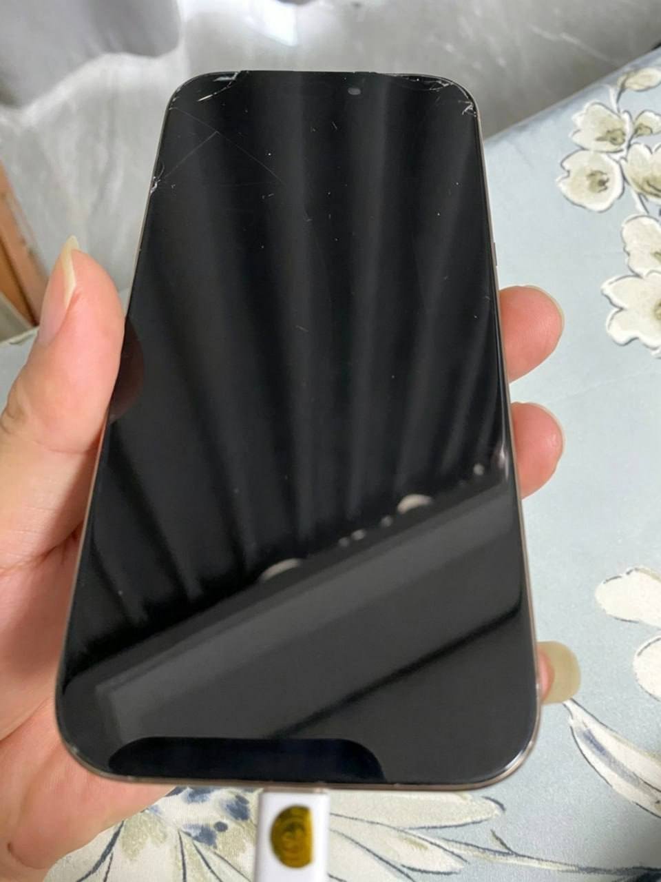 西港用户寻求以手中的iPhone 16 Pro置换iPhon