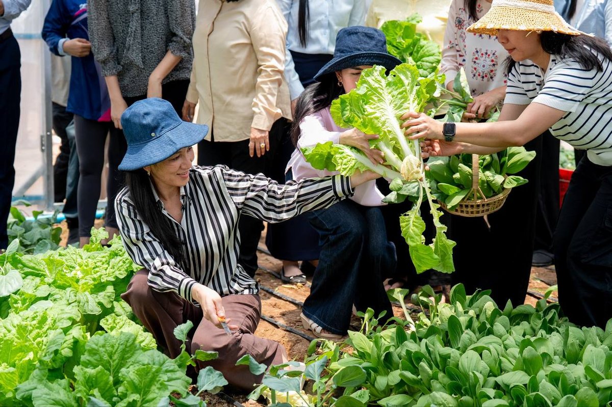 洪玛奈夫人视察暹粒现代农业项目 助力退伍军人家庭增收
