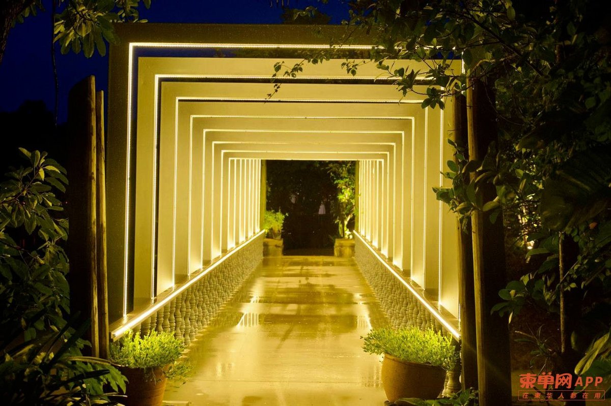暹粒巴孔古寺夜游项目上线 丰富夜间旅游产品带动社区经济