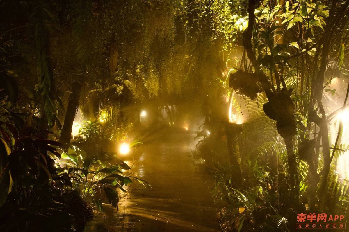 暹粒巴孔古寺夜游项目上线 丰富夜间旅游产品带动社区经济