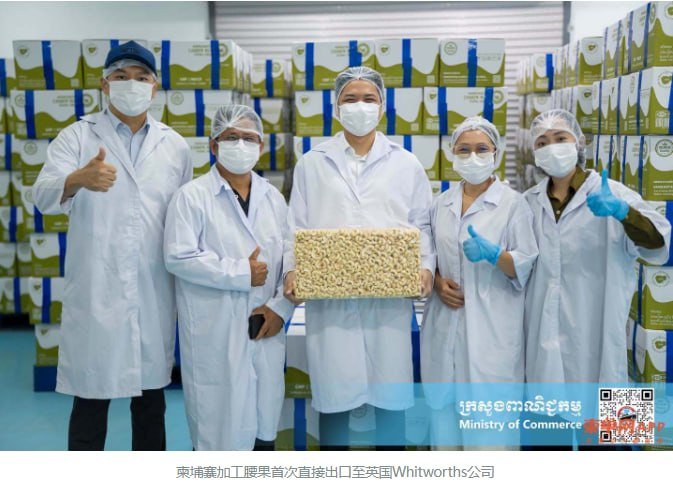 柬埔寨加工腰果首次直供英国知名企业