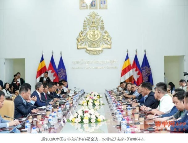 中国企业布局柬埔寨农业 聚焦加工与供应链