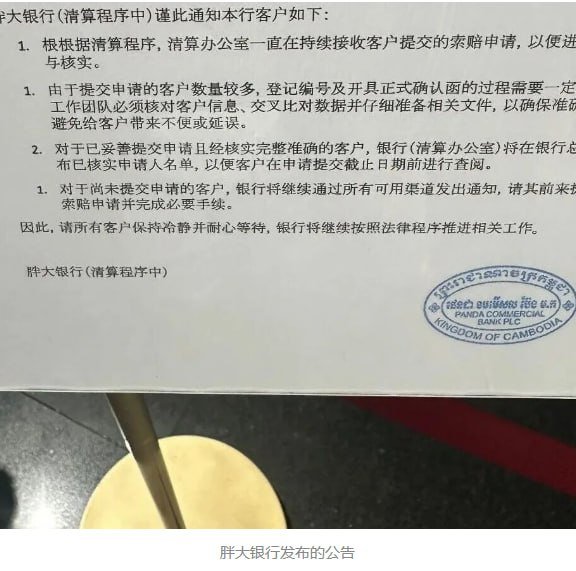 胖大银行启动第二批兑付 大额储户仍需等待清算