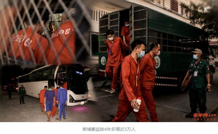 柬埔寨监狱在押人数三年激增74% 毒品案占比超五成