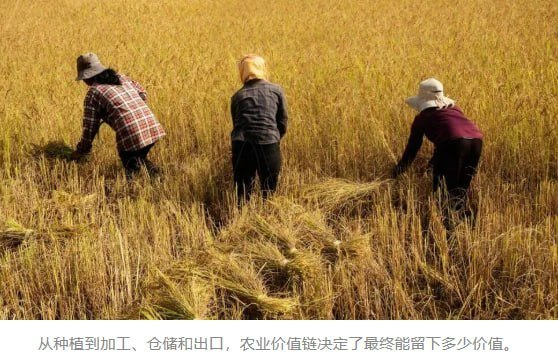 柬埔寨农业转型升级 产业链延伸成提升价值关键