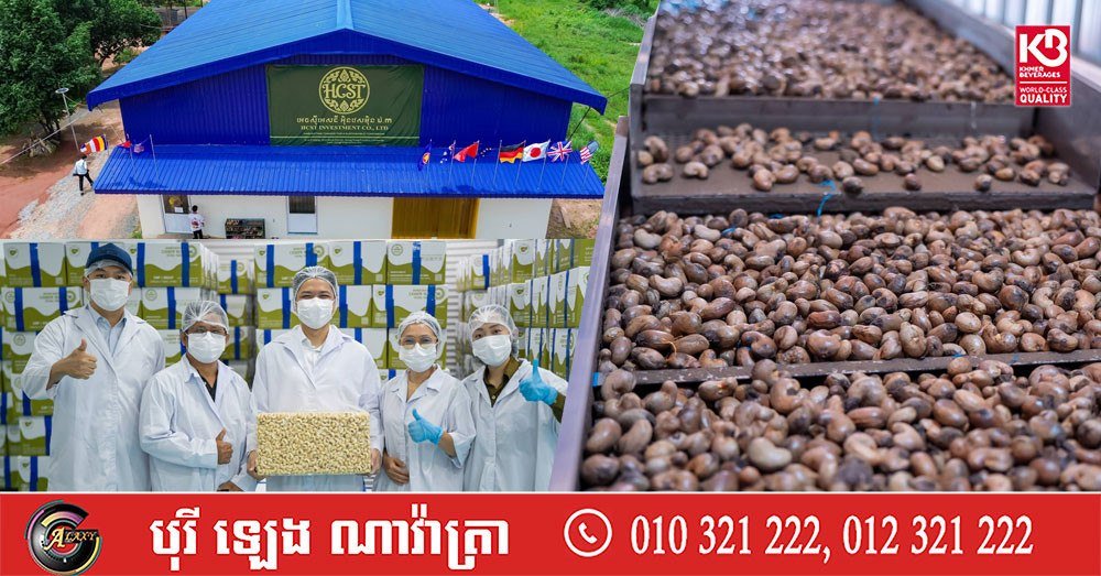 柬埔寨腰果首次实现直接出口至英国,这是柬埔寨农产品拓展欧洲市