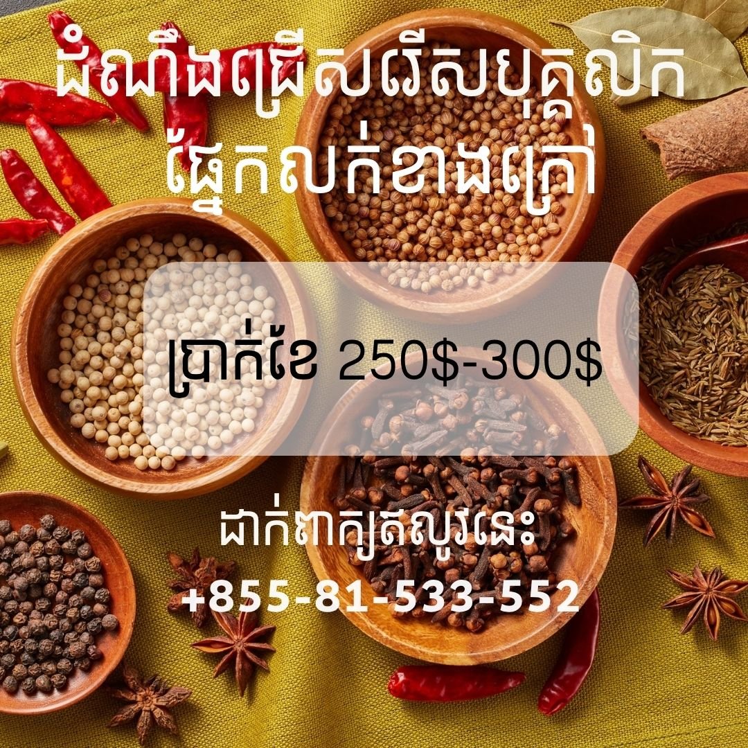 金边贡布西港招聘外勤销售 月薪$250-350