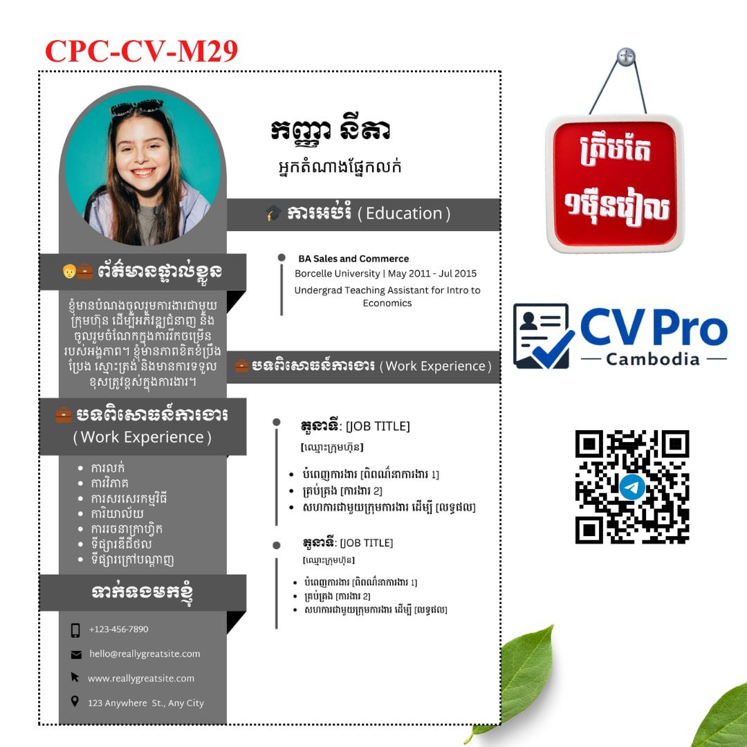 CV Pro提供简历制作服务 仅需$2.5