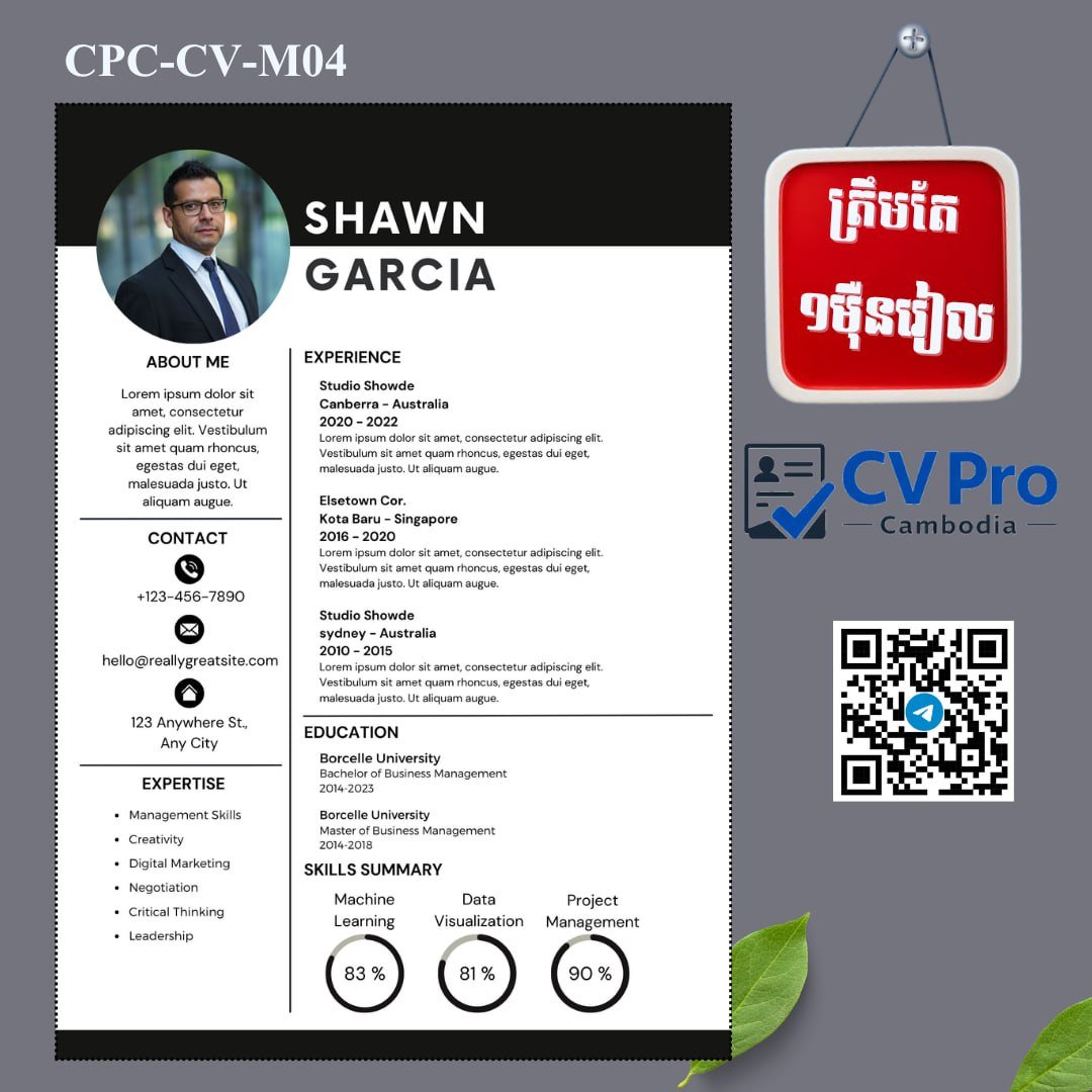 CV Pro提供简历制作服务 仅需$2.5