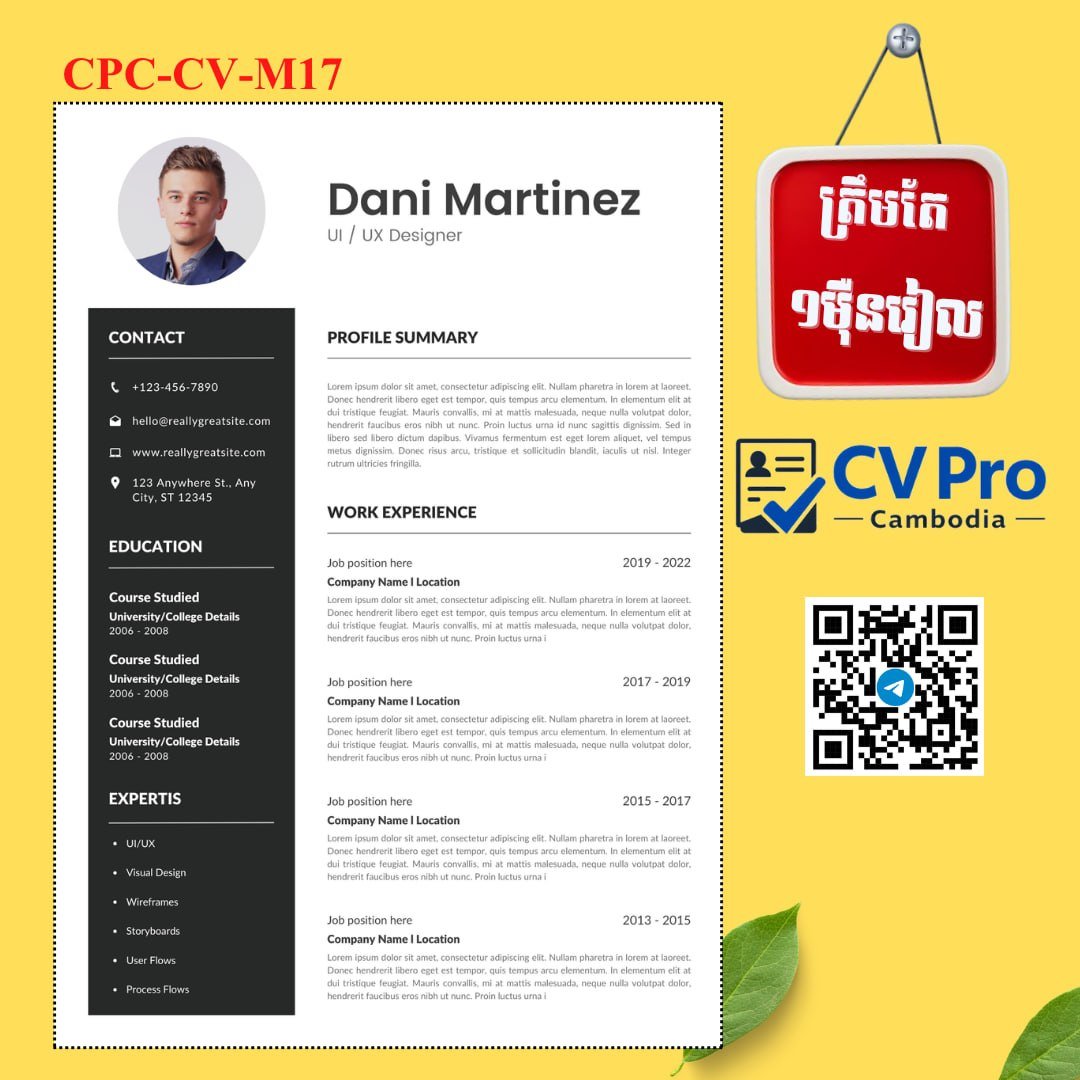 CV Pro提供简历制作服务 仅需$2.5
