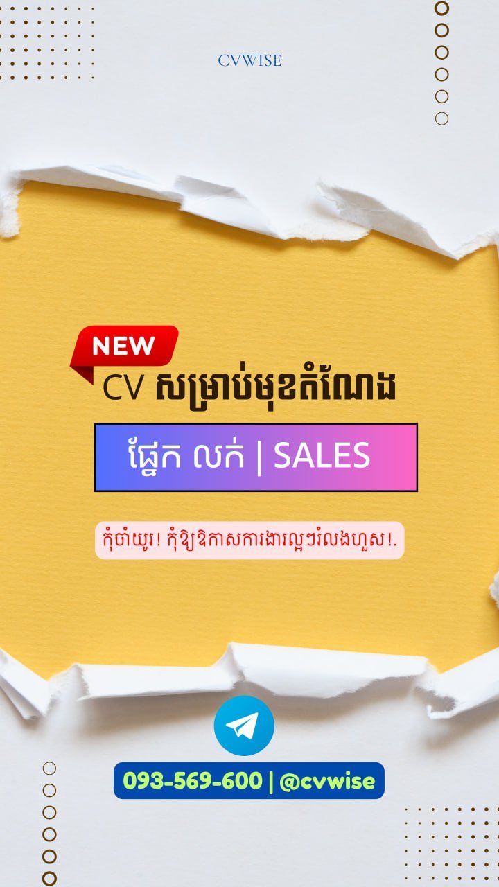金边简历优化与求职咨询服务