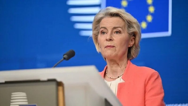 欧洲多国呼吁收紧边境管控 应对大规模非法移民潮