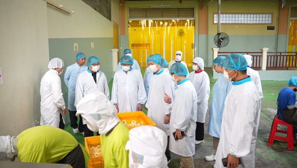 中国驻柬埔寨大使近日赴马德望省进行考察,旨在深入了解当地投资