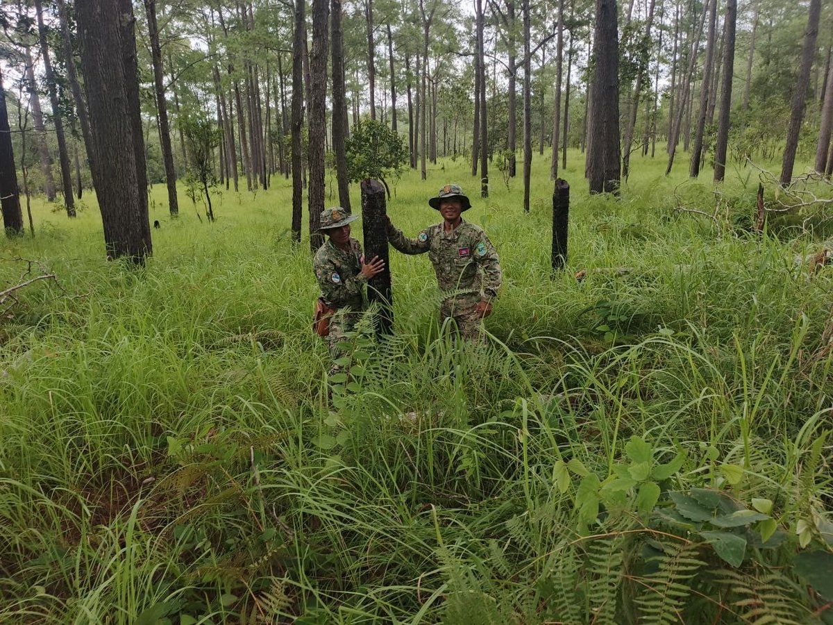 基里隆国家公园加强巡逻 严厉打击非法侵占林地行为