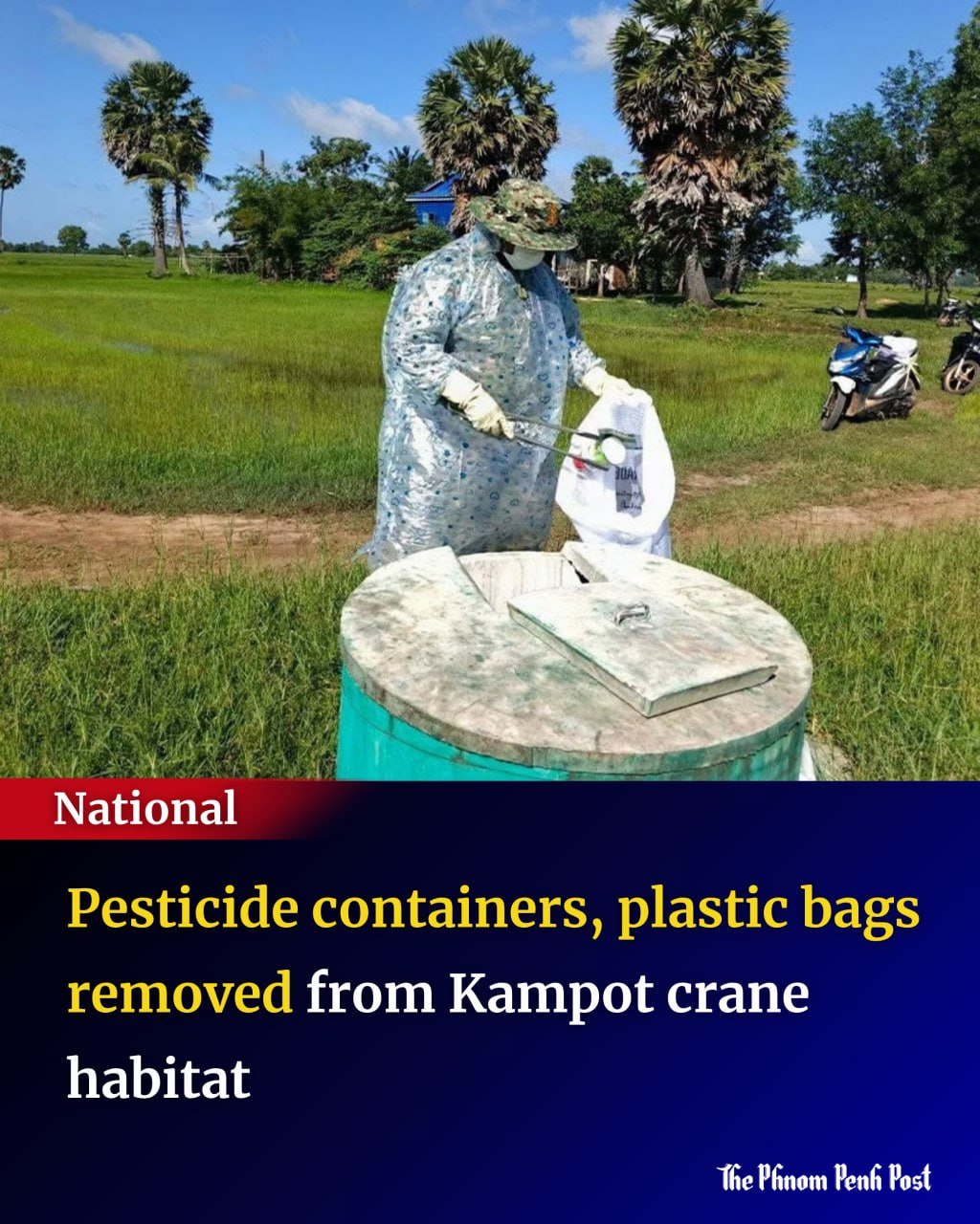 贡布省清理保护区垃圾 保护濒危鹤类栖息地
