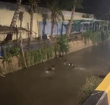 万景岗区政府严禁儿童在万特巴水渠游泳 防范溺水风险