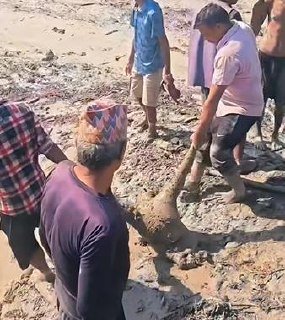 尼泊尔西藏边境洪灾频发 已致近160人遇难