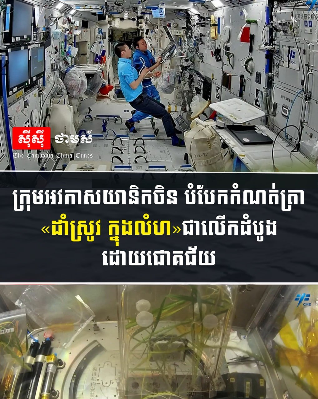 中国航天员首次在太空成功种植水稻 并完成全生命周期