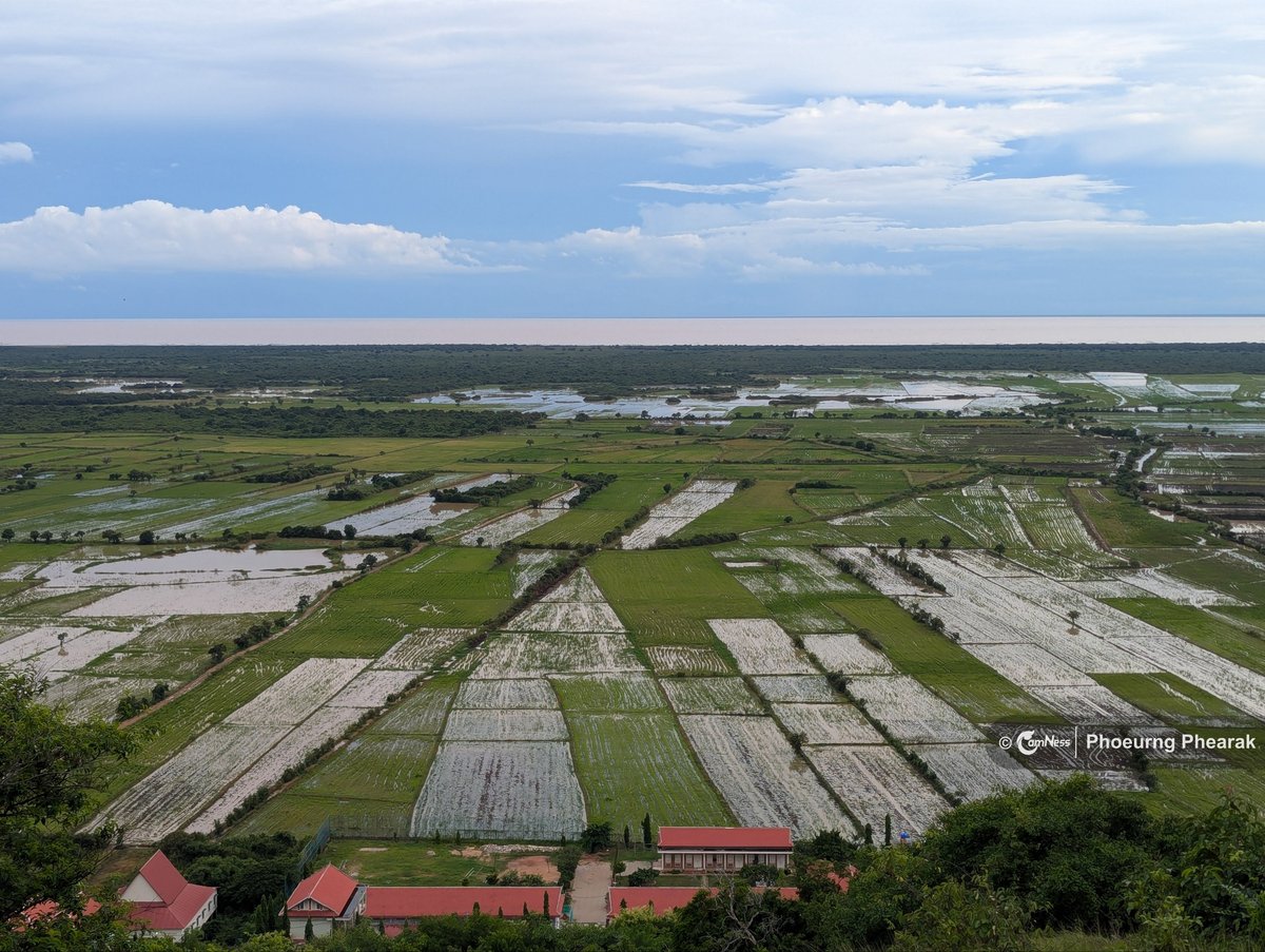 暹粒金边克罗山进入雨季,稻田翠绿,景色宜人