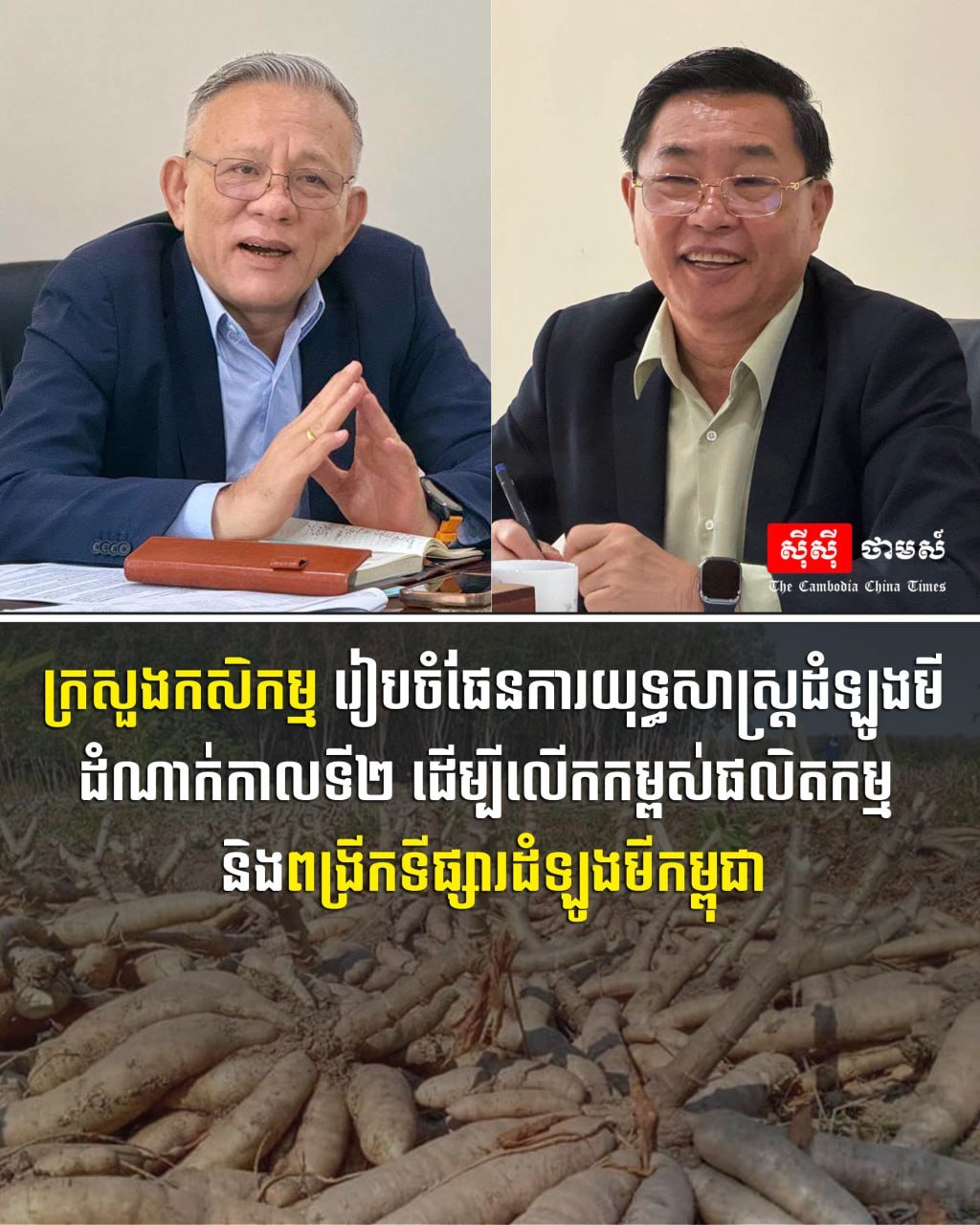 农业部启动木薯战略第二阶段 提升出口竞争力
