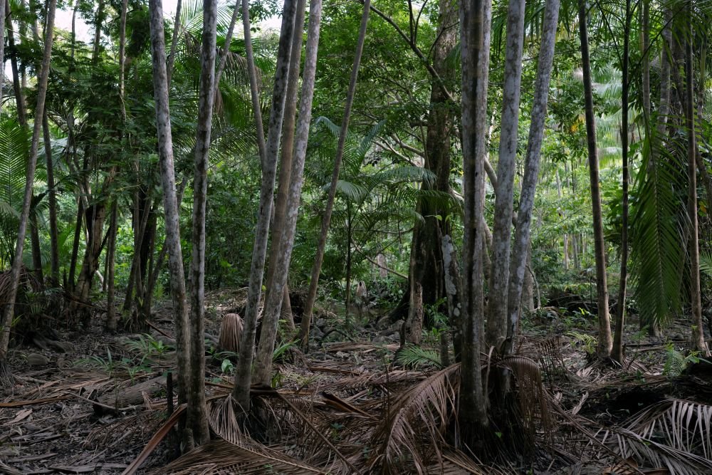 一名秘鲁原住民领袖兼环保捍卫者在巡逻亚马逊领地时遭枪杀