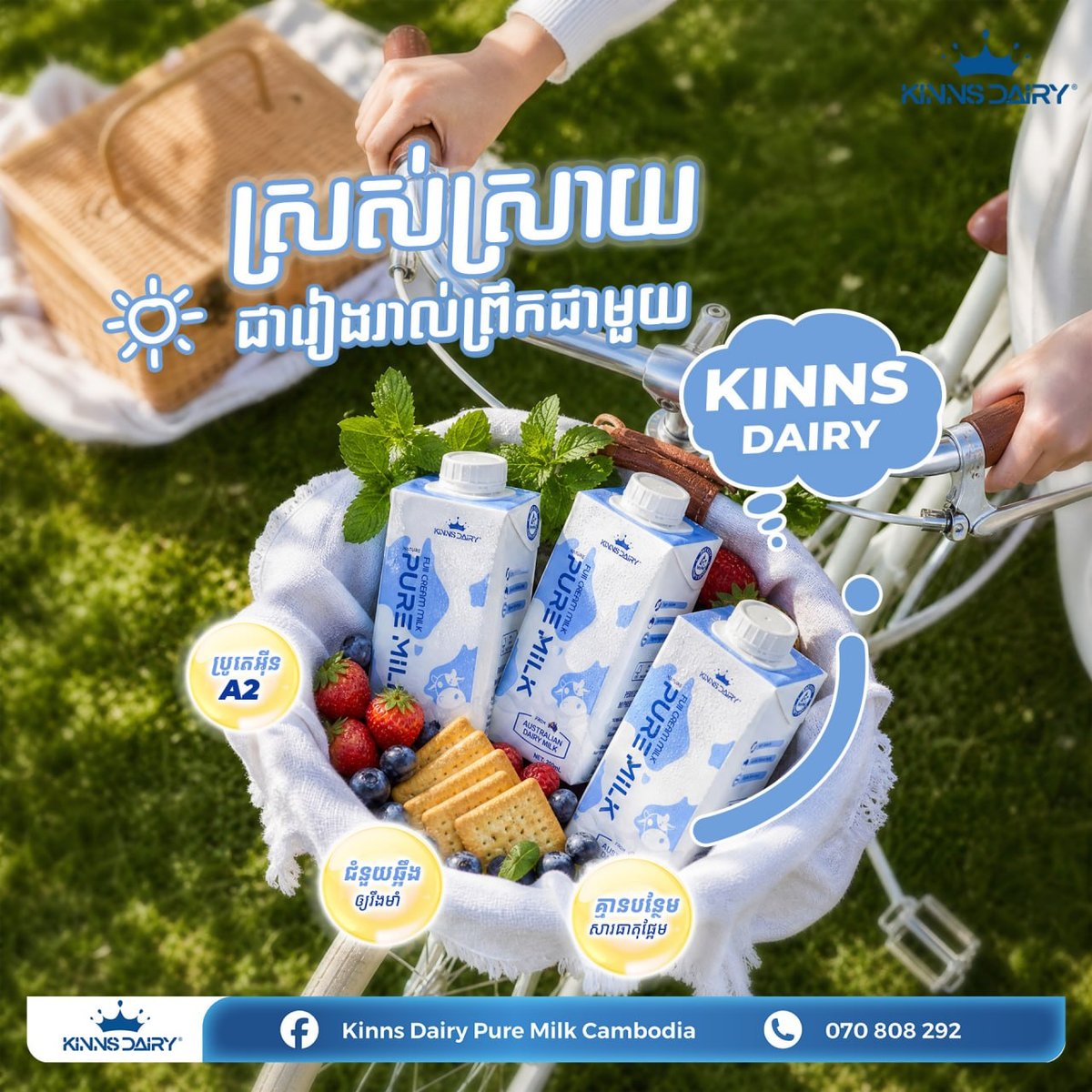 Kinns Dairy A2蛋白牛奶推广 适合乳糖不耐受人群