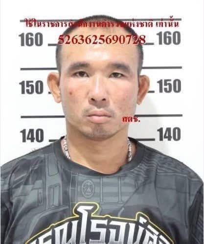 泰国芭提雅发生恶性抢劫案 两名俄罗斯游客遇害