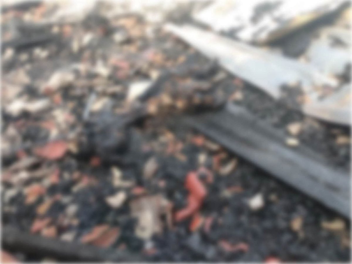 特本克蒙省发生纵火案致1人死亡 警方已控制现场